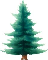 Green Pine Tree Hand Drawn Watercolor Painting vector