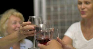 People Clinking Glasses with Wine video