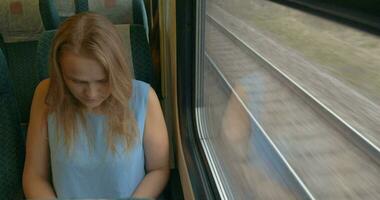 vrouw met zakglas in trein video