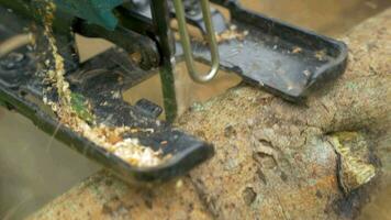 Man Sawing Wood Log Using Power Jigsaw video