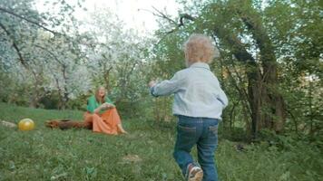 Mother and little son having happy time in bloomy garden video