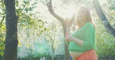 alegre embarazada mujer entre floreciente arboles video