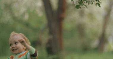 peu enfant prise efforts à atteindre le arbre branche video