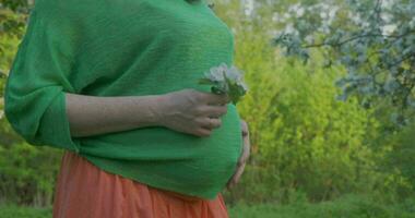 buik van een zwangere vrouw video