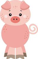 Cute pig isolated on white vector