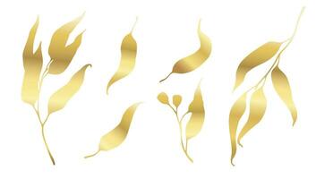 Autumn leaves silhouette with gold gradient. Eucalyptus branches with long leaves and seeds. Vector botanical designs elements collection on white background.