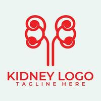 Kidney icon vector. vector