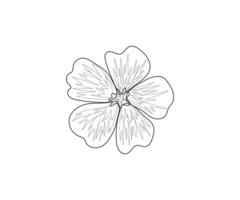 Floral Line Art Drawing Vector Art, Icons, and Graphics coloring page for kids