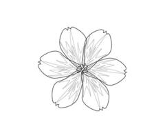 Floral Line Art Drawing Vector Art, Icons, and Graphics coloring page for kids