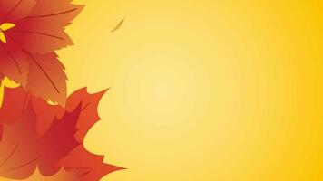 Animated video of falling maple leaves.