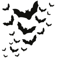 flock of bats, illustration png