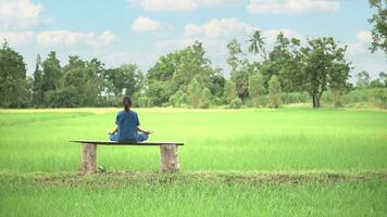 Asian girl meditation or stand yoga at outdoor, countryside of Thailand. photo