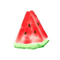 Watermelon watercolor paint isolated on white background vector. vector