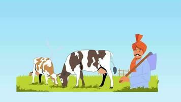 Mann ist Fütterung Kühe im das Feld video