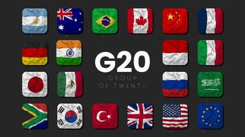 grupo do vinte, g20 todos país membros bandeira acenando desatado looping, introdução, 3d Renderização video