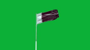 Qatar National Flag video