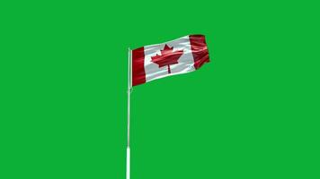 bandera nacional de canadá video