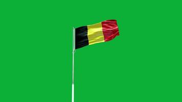 belgische nationale vlag video