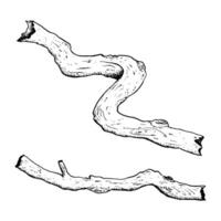 Vector tree roots, branches, twigs or trunks simple black and white illustration. Hand drawn forest nature ink drawing