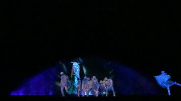 Theatrical performance on the ice video