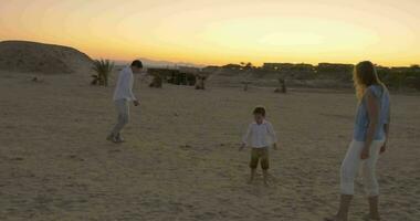 famiglia giocando calcio su un' spiaggia video