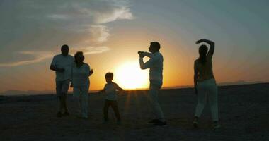 Tres generaciones de un familia teniendo divertido en el playa video