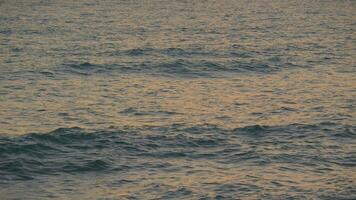 Calm ocean waves at twilight video