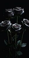 Spellbinding closeup portrait of roses, eternal melancholy, AI Generated photo