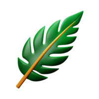 tropical leaves 3d rendering icon illustration png