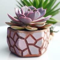Graptoveria in a terracotta hexagonal pot with a speckled pattern in shades of purple AI Generated photo
