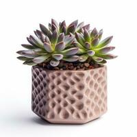 Graptoveria in a terracotta hexagonal pot with a speckled pattern in shades of purple AI Generated photo