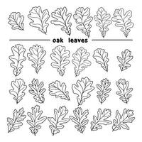 Set of vector silhouettes of a realistic shape of oak leaves