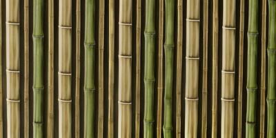 Seamless pattern bamboo photorealistic for background created with ai generative photo