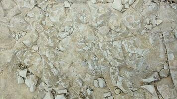 Closeup white limestone rock texture details real photo for background