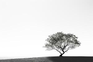 encarnando soledad - monocromo imagen de un solitario árbol fundición oscuridad en contra un rígido blanco antecedentes ai generativo foto