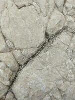 Closeup white limestone rock texture details real photo for background