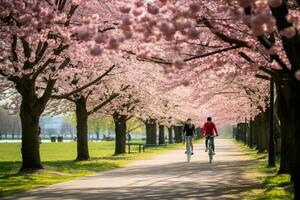 Expansive springtime park scene filled with blooming cherry blossoms and health-conscious individuals AI Generative photo