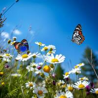 Group of butterflies fluttering over a meadow of wildflowers under a cloudless blue sky AI Generative photo