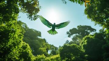 Dense, emerald-green jungle scene with a vibrant parrot flying amidst the foliage photo