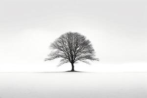 Lone tree casting shadows against stark white background AI Generative photo