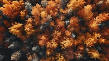 aéreo ver de un encantador otoño bosque con vibrante matices de naranja, rojo, y oro ai generativo foto