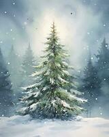 Watercolor illustration of Christmas tree photo