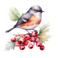 A bird sitting on a branch with red berries below it png