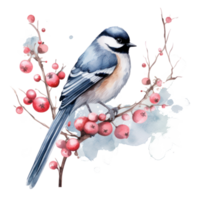 A bird sitting on a branch with red berries below it png