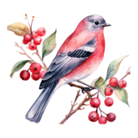 A bird sitting on a branch with red berries below it png