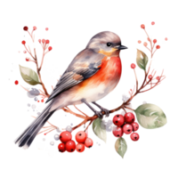 A bird sitting on a branch with red berries below it png