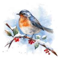 A bird sitting on a branch with red berries below it png