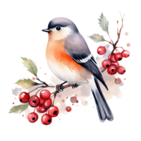 A bird sitting on a branch with red berries below it png