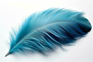 Blue feather isolated on white background photo