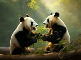 Cute panda on natural background photo